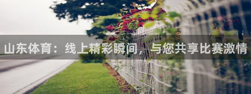 山东体育：线上精彩瞬间，与您共享比赛激情