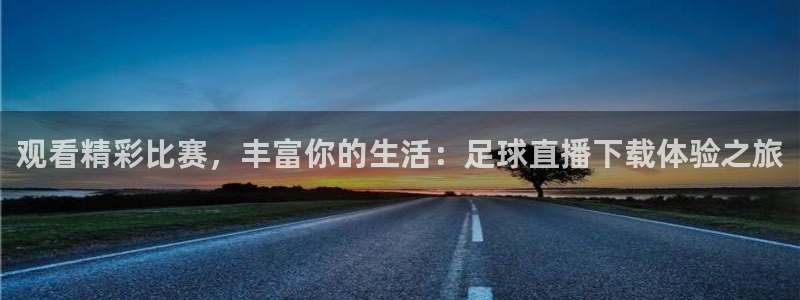 观看精彩比赛，丰富你的生活：足球直播下载体验之旅