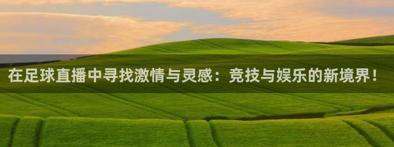 在足球直播中寻找激情与灵感：竞技与娱乐的新境界！
