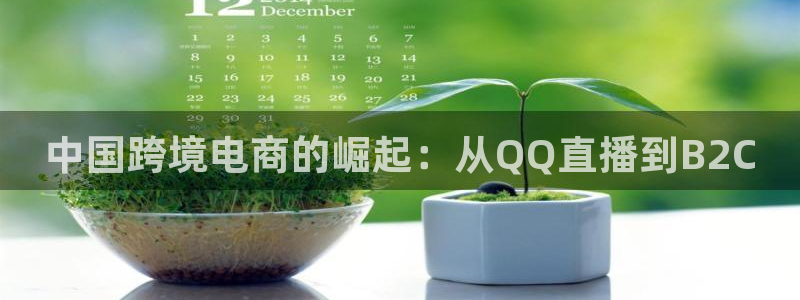中国跨境电商的崛起：从QQ直播到B2C