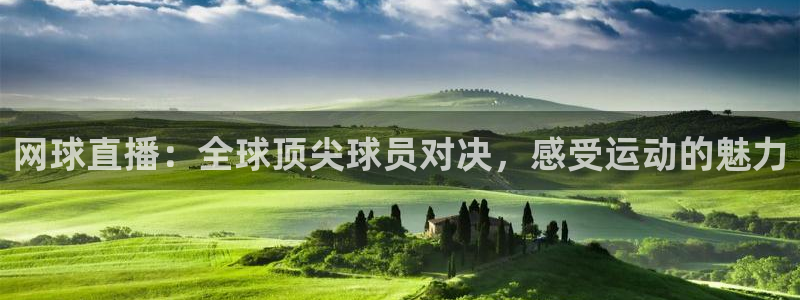 网球直播：全球顶尖球员对决，感受运动的魅力