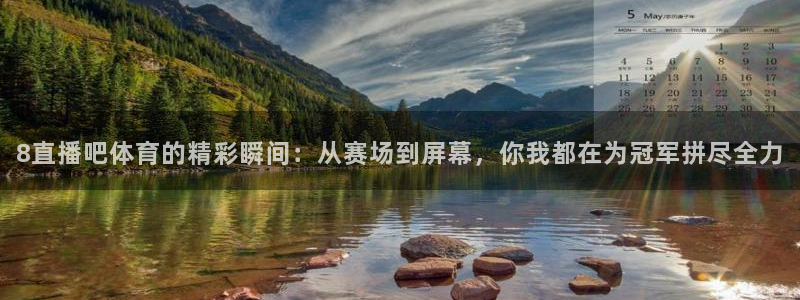 8直播吧体育的精彩瞬间：从赛场到屏幕，你我都在为冠军拼尽全力