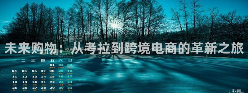 未来购物：从考拉到跨境电商的革新之旅