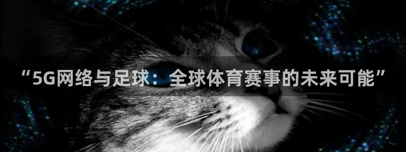 “5G网络与足球：全球体育赛事的未来可能”