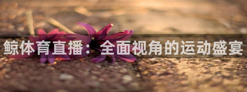鲸体育直播：全面视角的运动盛宴