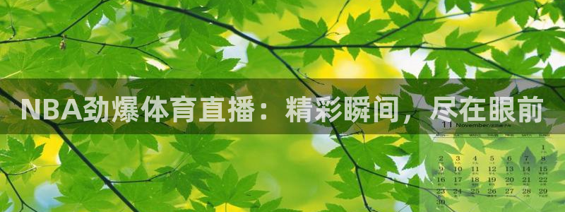 NBA劲爆体育直播：精彩瞬间，尽在眼前