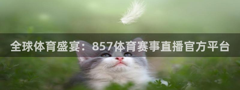 全球体育盛宴：857体育赛事直播官方平台