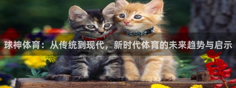 球神体育：从传统到现代，新时代体育的未来趋势与启示