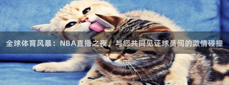 全球体育风暴：NBA直播之夜，与您共同见证球员间的激情碰撞