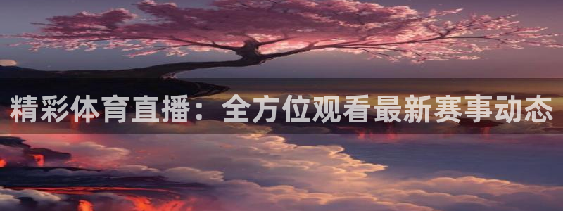 精彩体育直播：全方位观看最新赛事动态