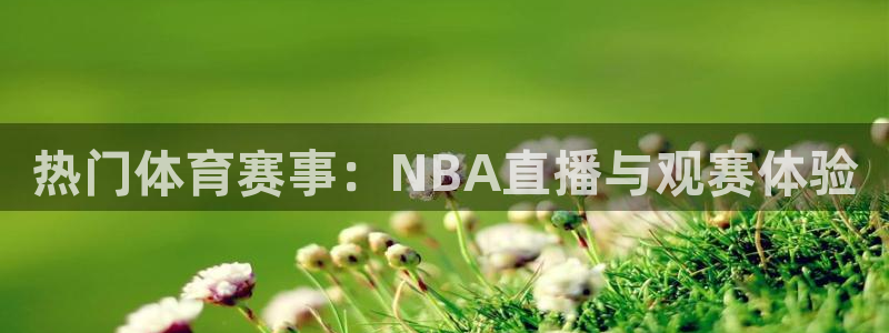热门体育赛事：NBA直播与观赛体验