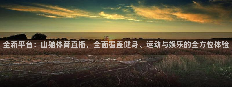 全新平台：山猫体育直播，全面覆盖健身、运动与娱乐的全方位体验