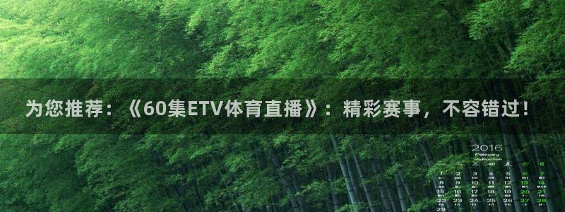 为您推荐：《60集ETV体育直播》：精彩赛事，不容错过！