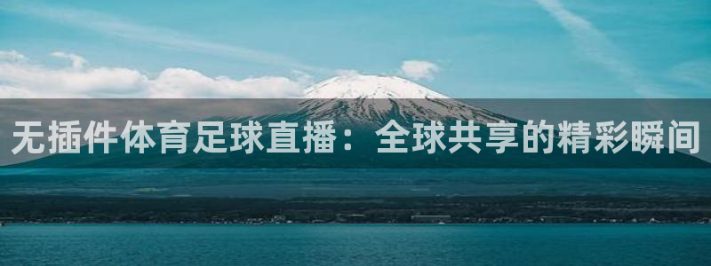 无插件体育足球直播：全球共享的精彩瞬间