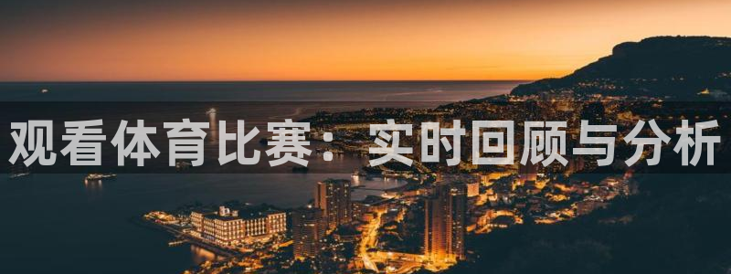 观看体育比赛：实时回顾与分析