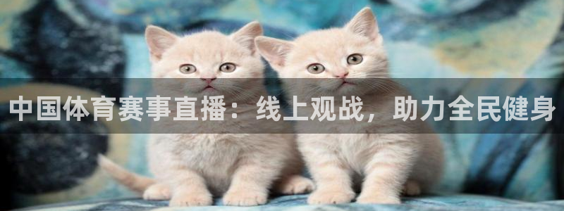 中国体育赛事直播：线上观战，助力全民健身