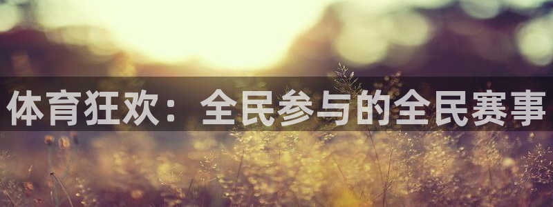 体育狂欢：全民参与的全民赛事