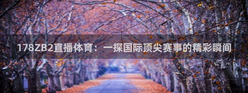 178ZB2直播体育：一探国际顶尖赛事的精彩瞬间