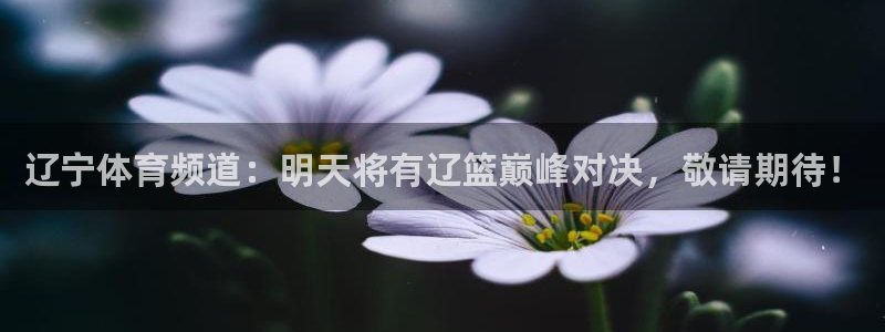 辽宁体育频道：明天将有辽篮巅峰对决，敬请期待！
