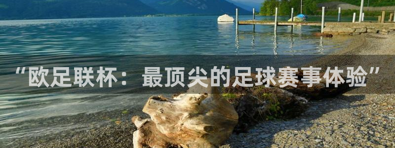 “欧足联杯：最顶尖的足球赛事体验”
