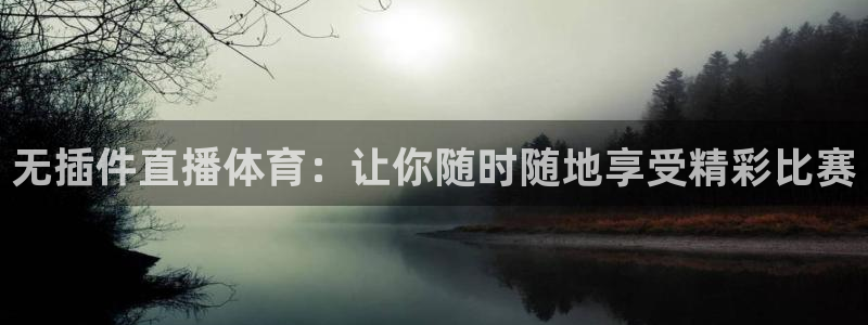 无插件直播体育：让你随时随地享受精彩比赛