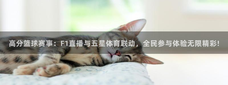 高分篮球赛事：F1直播与五星体育联动，全民参与体验无限精彩!