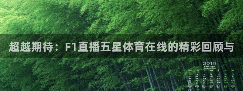 超越期待：F1直播五星体育在线的精彩回顾与