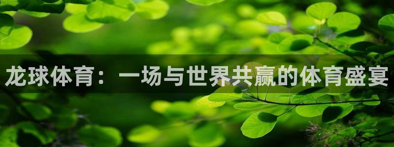 龙球体育：一场与世界共赢的体育盛宴
